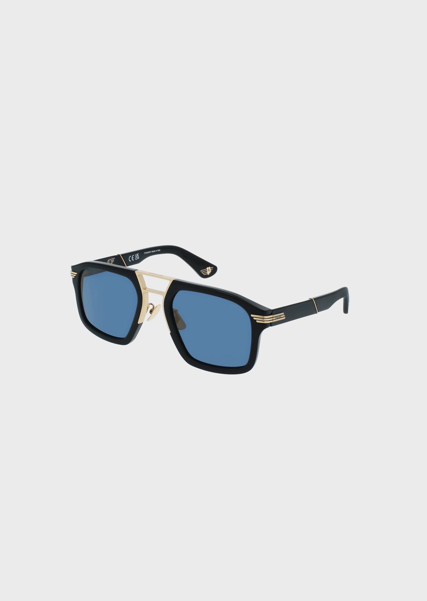 The Anniversary Collection Sunglasses SPLL60